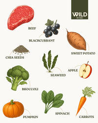 Beef (6 kg) Grain Free Dry Dog Food