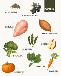 Chicken (2.5 kg) Grain Free Dry Dog Food