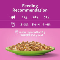 WHISKAS - 7+- Senior Wet Cat Food Pouches - 84 x 85 g - Mixed Selection in Jelly