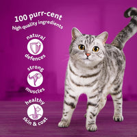 WHISKAS - 7+- Senior Wet Cat Food Pouches - 84 x 85 g - Mixed Selection in Jelly