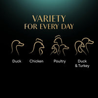 Sheba Select Slices in Gravy – Poultry Selection – Wet cat food pouches for adult cats – 72 x 85g pack