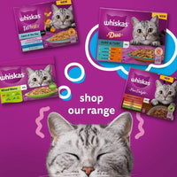 WHISKAS - 7+- Senior Wet Cat Food Pouches - 84 x 85 g - Mixed Selection in Jelly