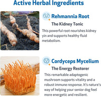 Pet Wellbeing Kidney Support Gold for Cats 2 oz (59 ml)