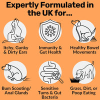 NutriPaw Pre, Pro & Postbiotic Digestive Treats For Dogs