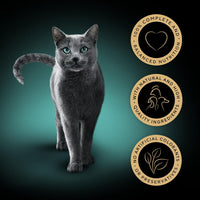 Sheba Select Slices in Gravy – Poultry Selection – Wet cat food pouches for adult cats – 72 x 85g pack